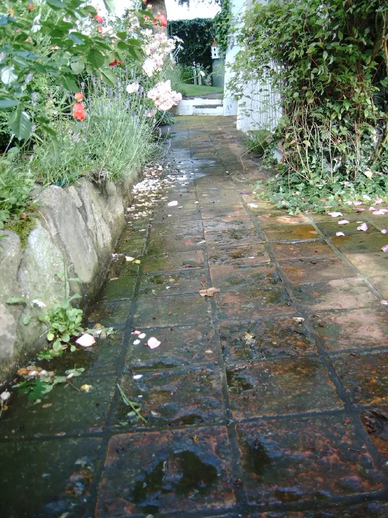 Steinreinigung vorher